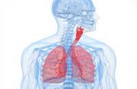 Image depicting COPD/Airways Clinic